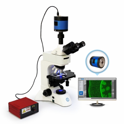 B60F正置荧光生物显微镜